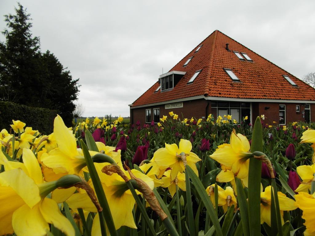 Pension Zonneweelde Oosthuizen Buitenkant foto